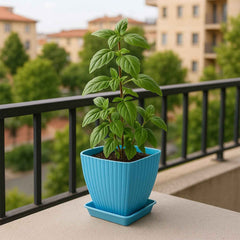 Square Plastic Flower Pots Set of 5 – Durable Lightweight Planters
