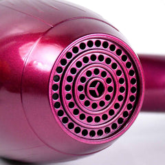 Professional Hair Dryer – High Power 2-Speed Salon Dryer | Calm & Curl