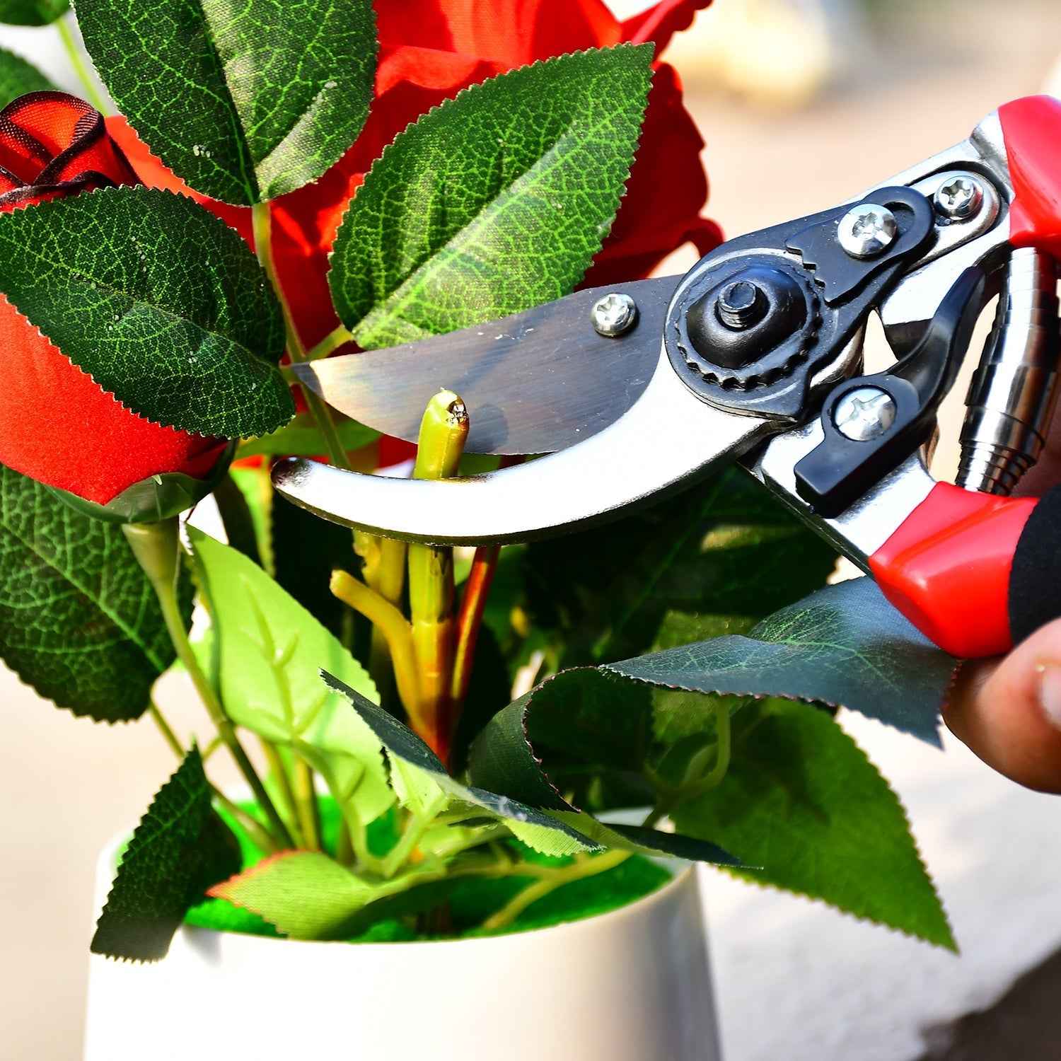 Garden Shears – Sharp Bypass Pruner for Plants | Tidy Roots