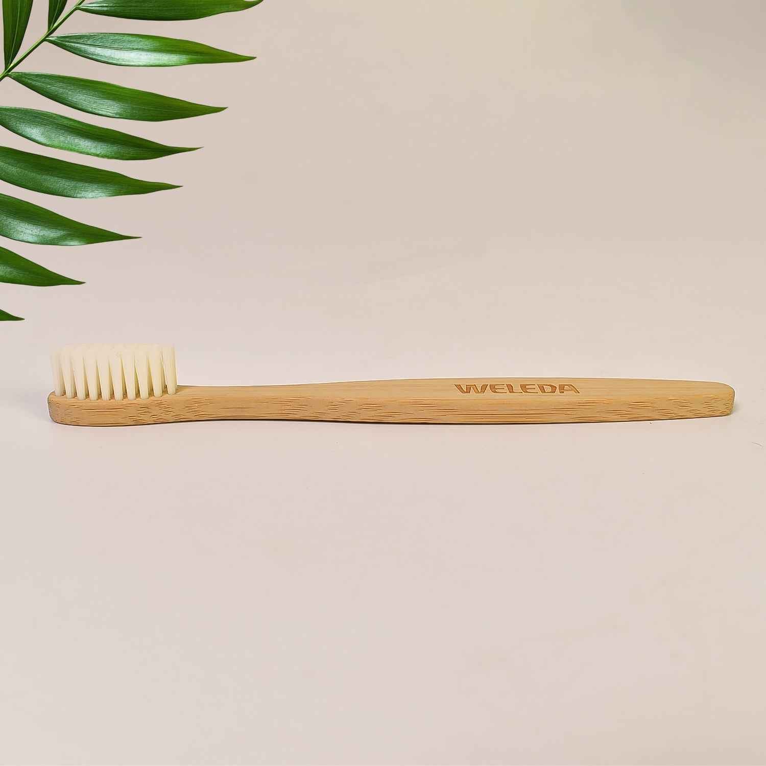 Ergonomic wooden handle of MintGuard bamboo toothbrush for comfortable grip