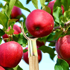 Fruit Plucking Tool Head Set – Easy Manual Tree Fruit Harvester