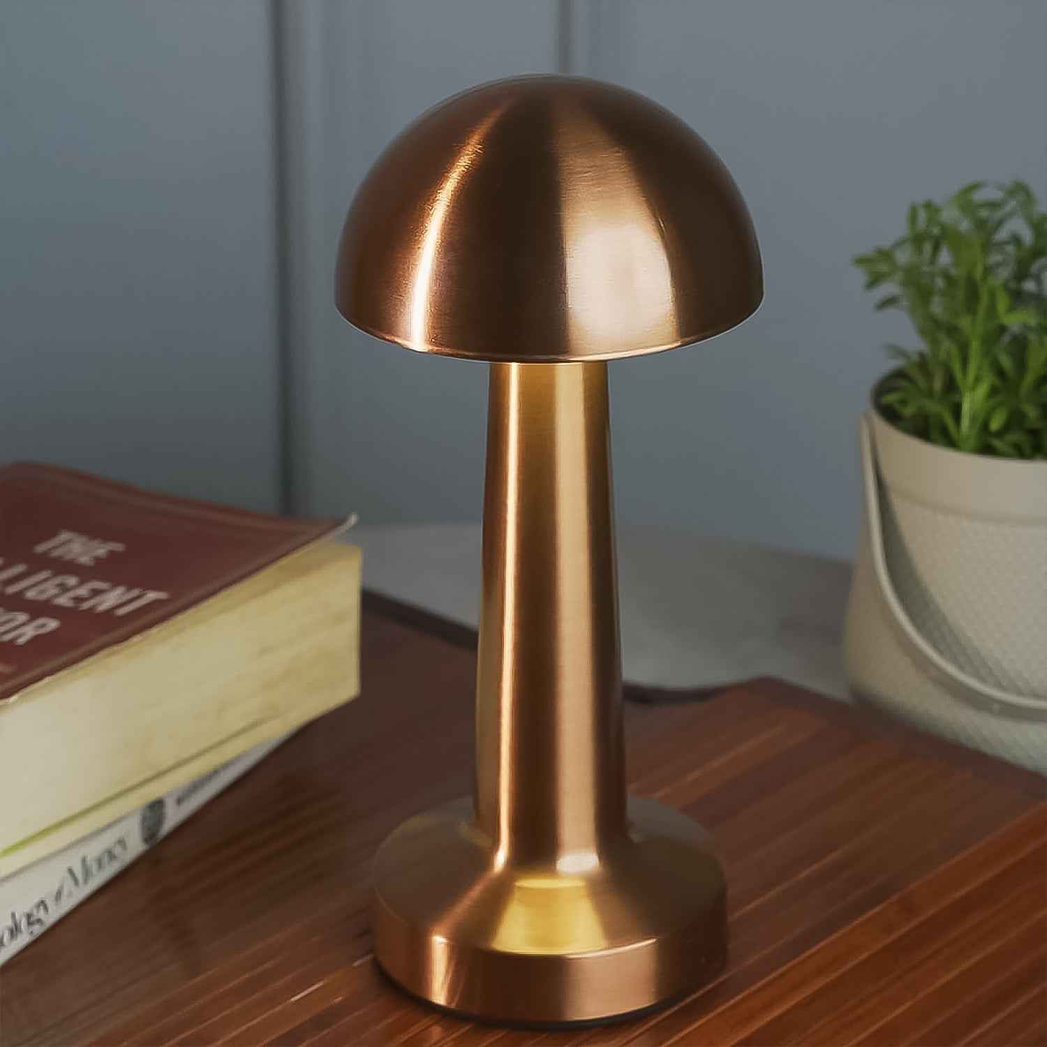 LED Table Lamp – Touch Control, Portable & Dimmable Metal Desk Light