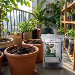Organic Soil Fertilizer – Natural Compost for Healthy Home Gardening