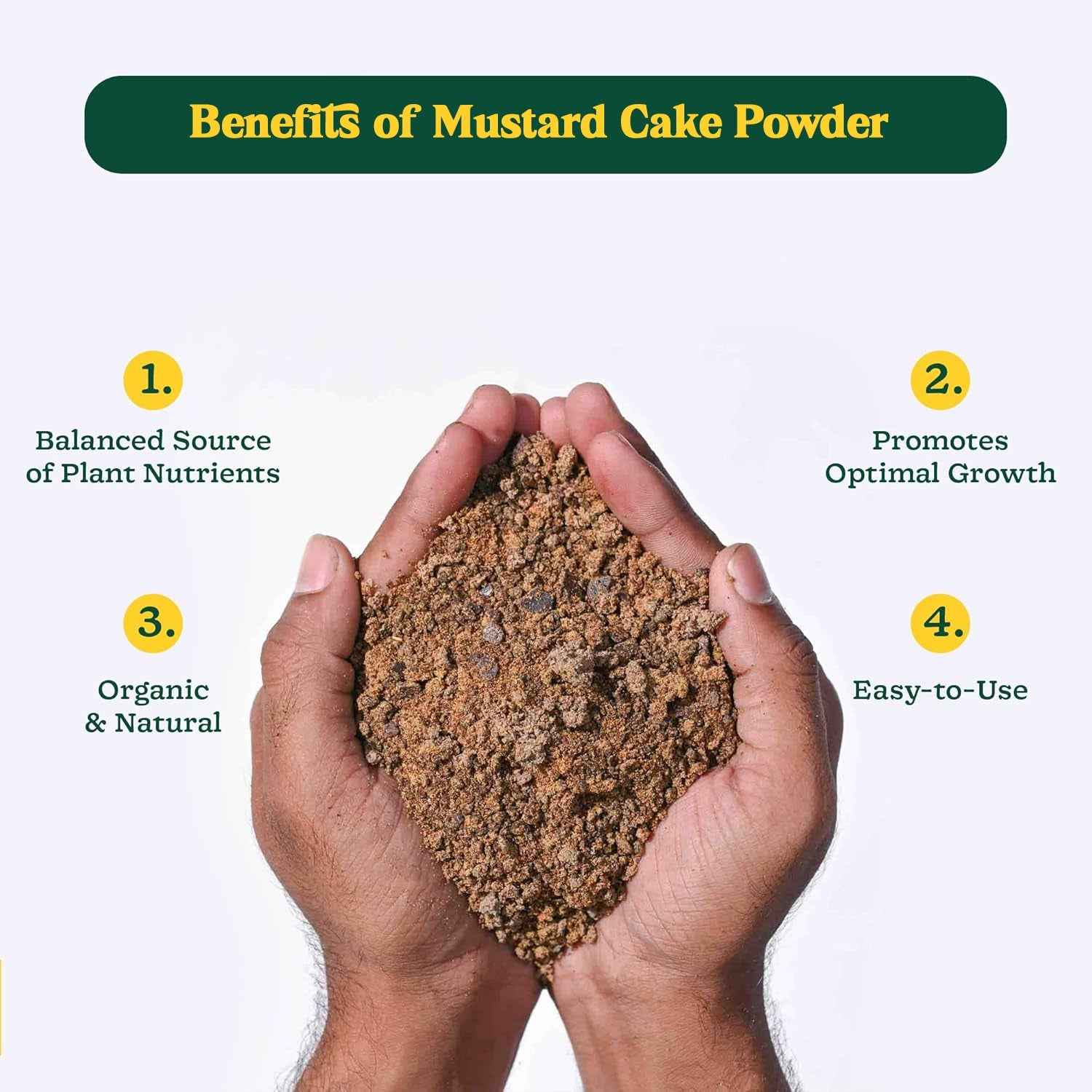 Mustard Cake Fertilizer – Organic Plant Growth Booster 900gm