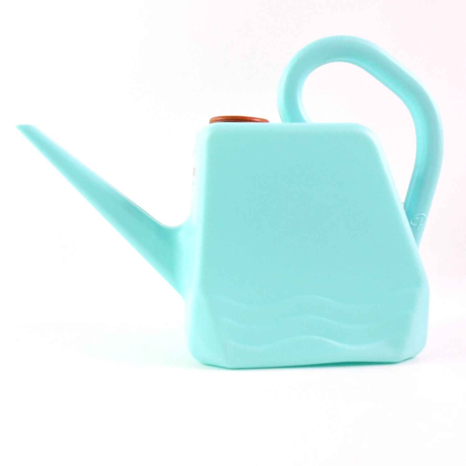 2L Gardening Watering Can – Ergonomic Handle & Precision Spout