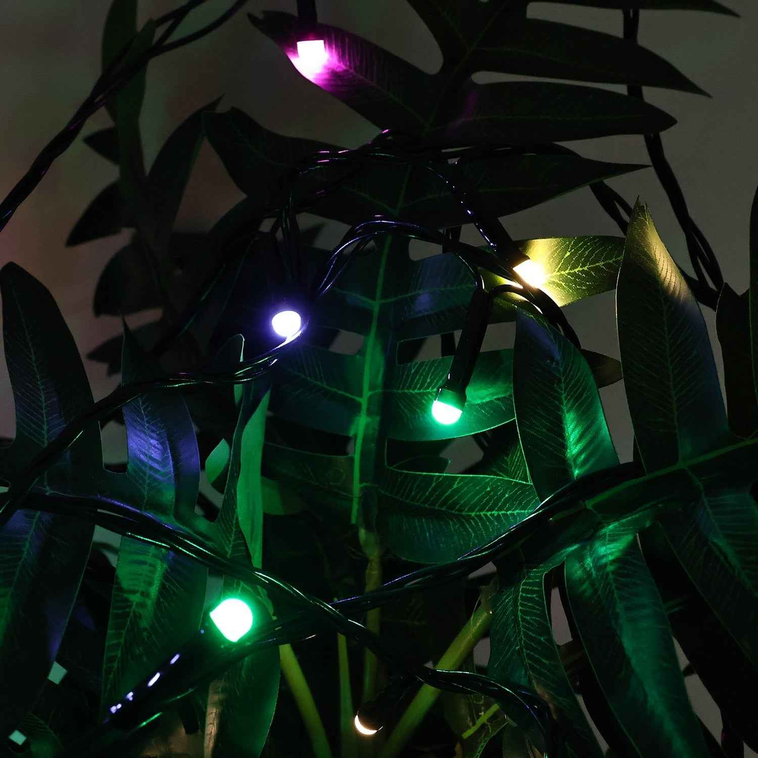 LED Decorative String Lights 9 Meter – Multicolor Festival Glow