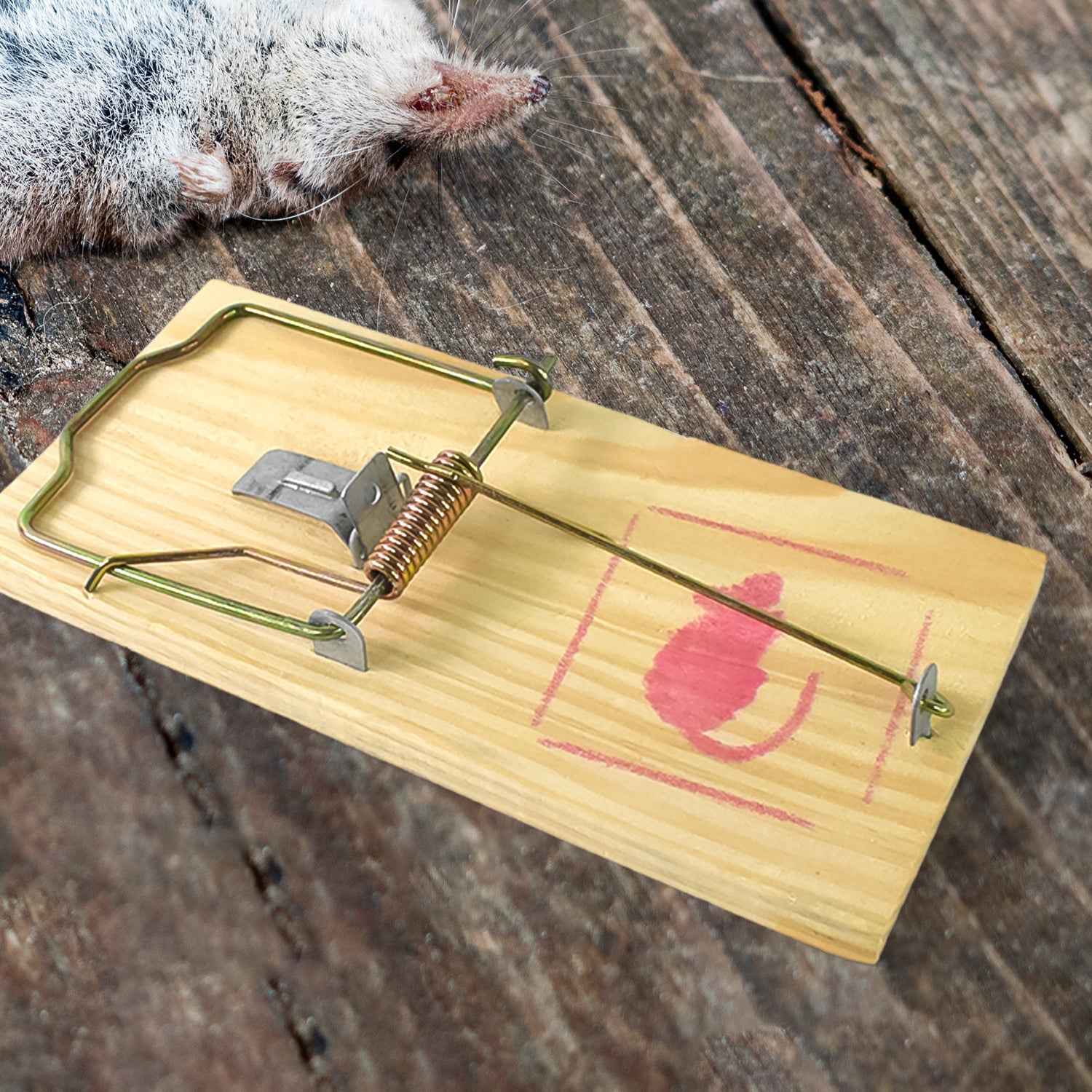 Wooden Mouse Trap – Durable, Reusable Pest Control Snap Trigger
