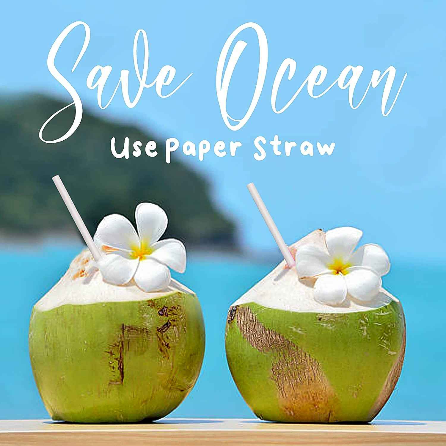 Paper Straws – Sog-Resistant & Eco-Friendly 6mm x 200mm, 50 pcs