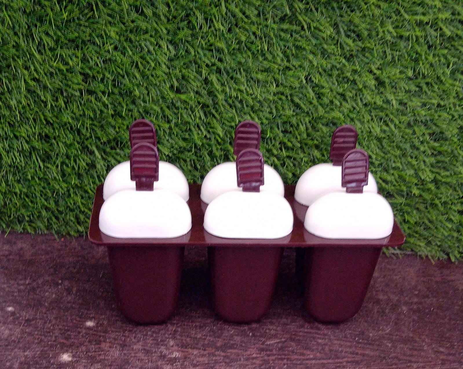 Kulfi Maker – 6-Cup Plastic Ice Candy Moulds | Bake & Dwell