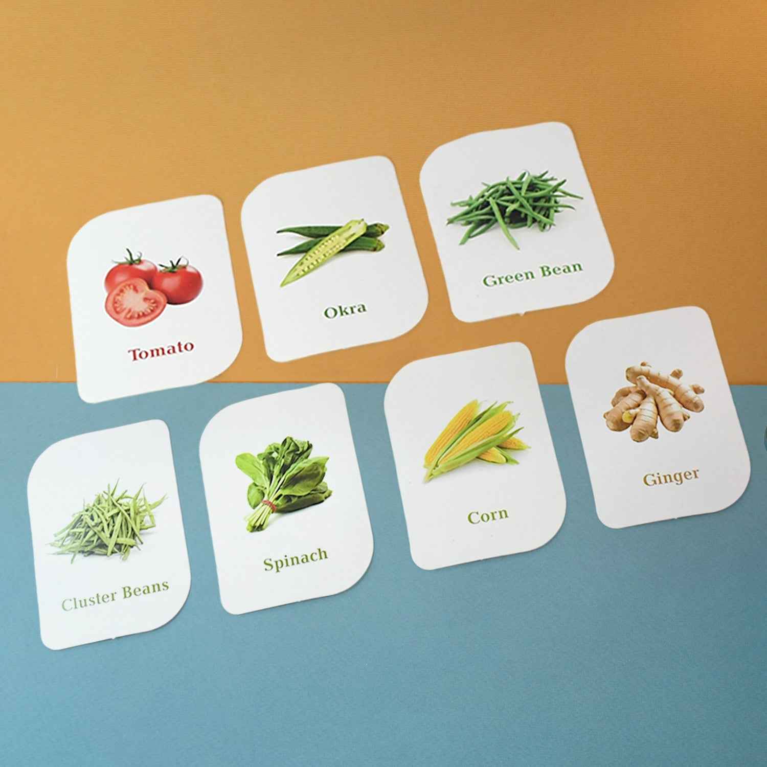 Vegetable Flash Cards – 32 Durable Educational Cards for Kids