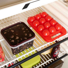 Plastic Egg Carrier – 12 Egg Storage Box for Fridge & Travel | Organivo