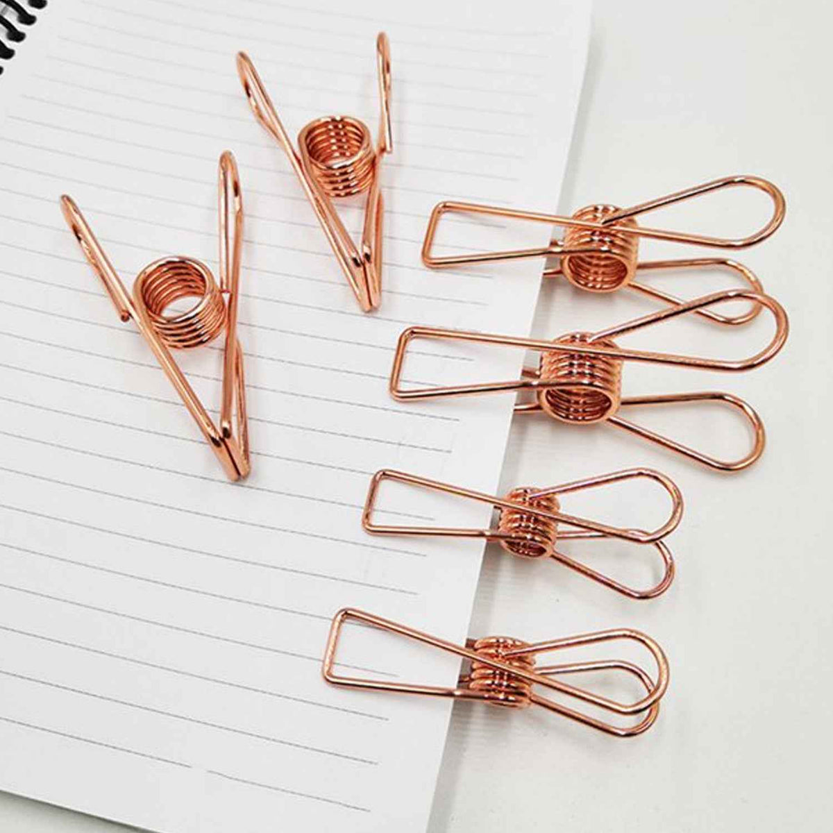 Stainless Steel Clothes Clips – Multipurpose & Sturdy | BathNova