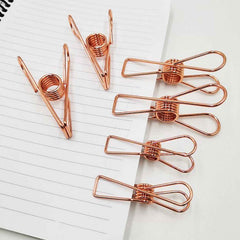 Stainless Steel Clothes Clips – Multipurpose & Sturdy | BathNova