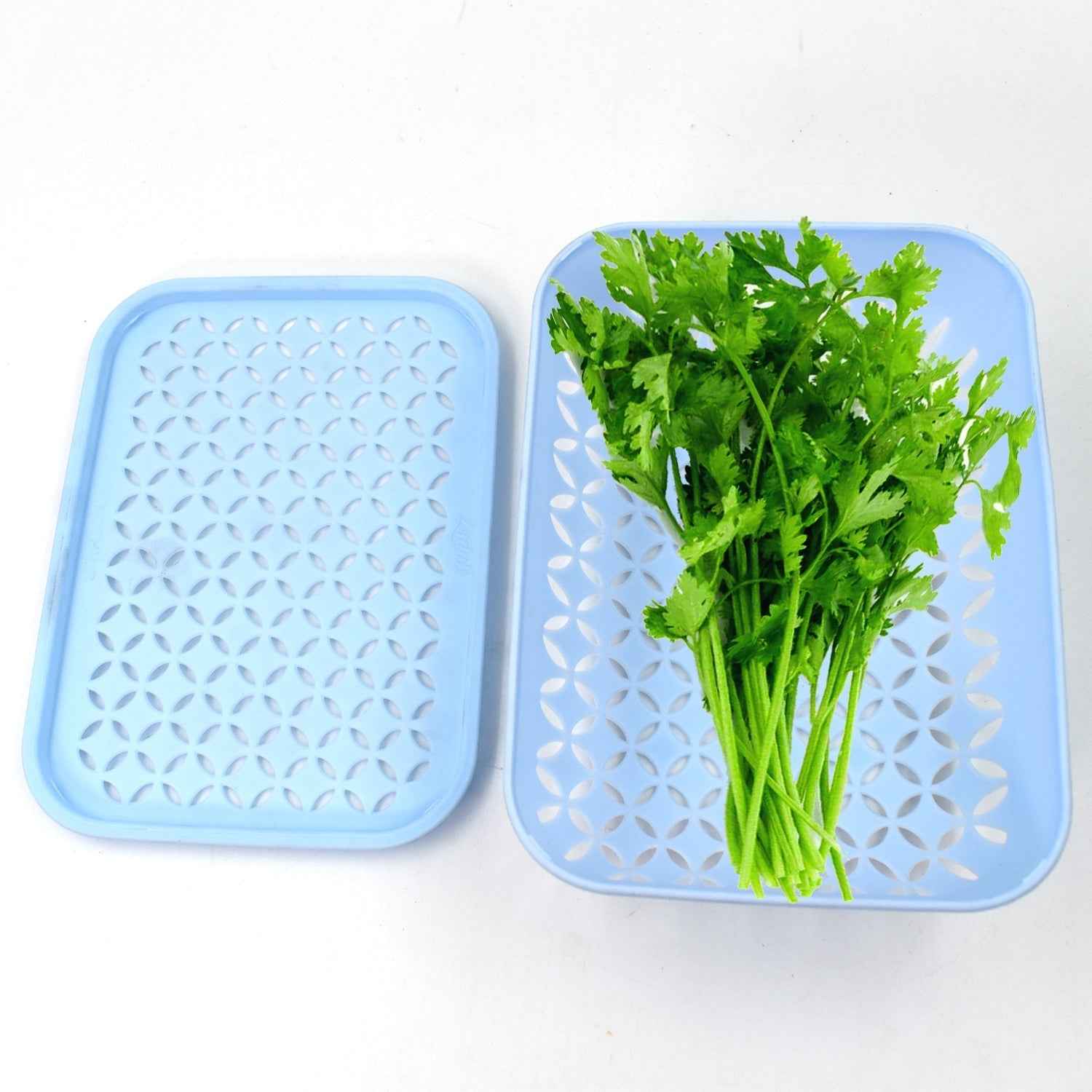 Kothmir Basket – Multipurpose Kitchen Storage | Storenzo