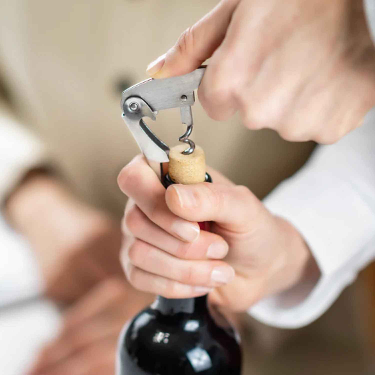 Wine Accessory Gift Set – 4-in-1 Stainless Steel Bar Tools