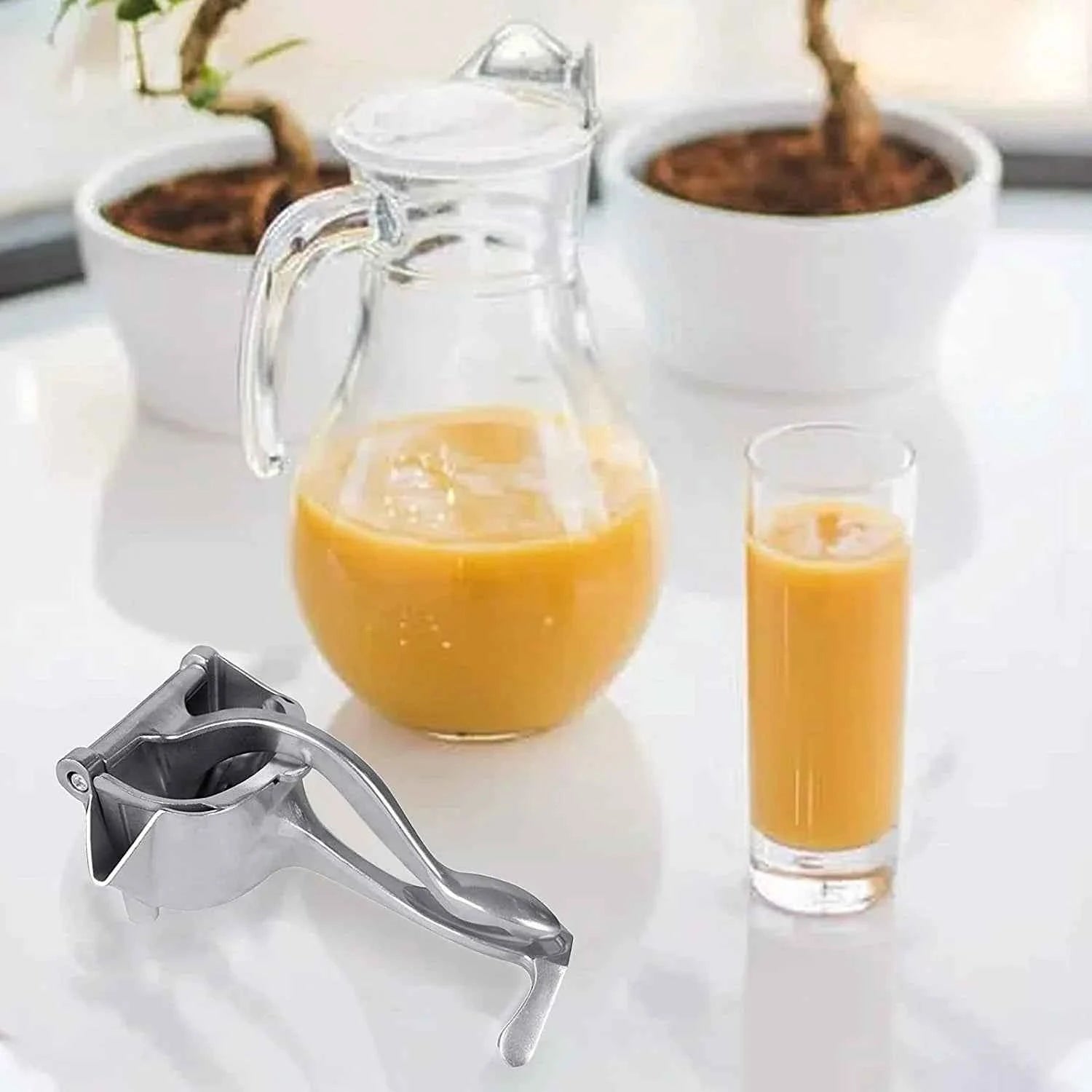 Manual Fruit Juicer – Heavy Duty Aluminium Press | Chef’s Embrace