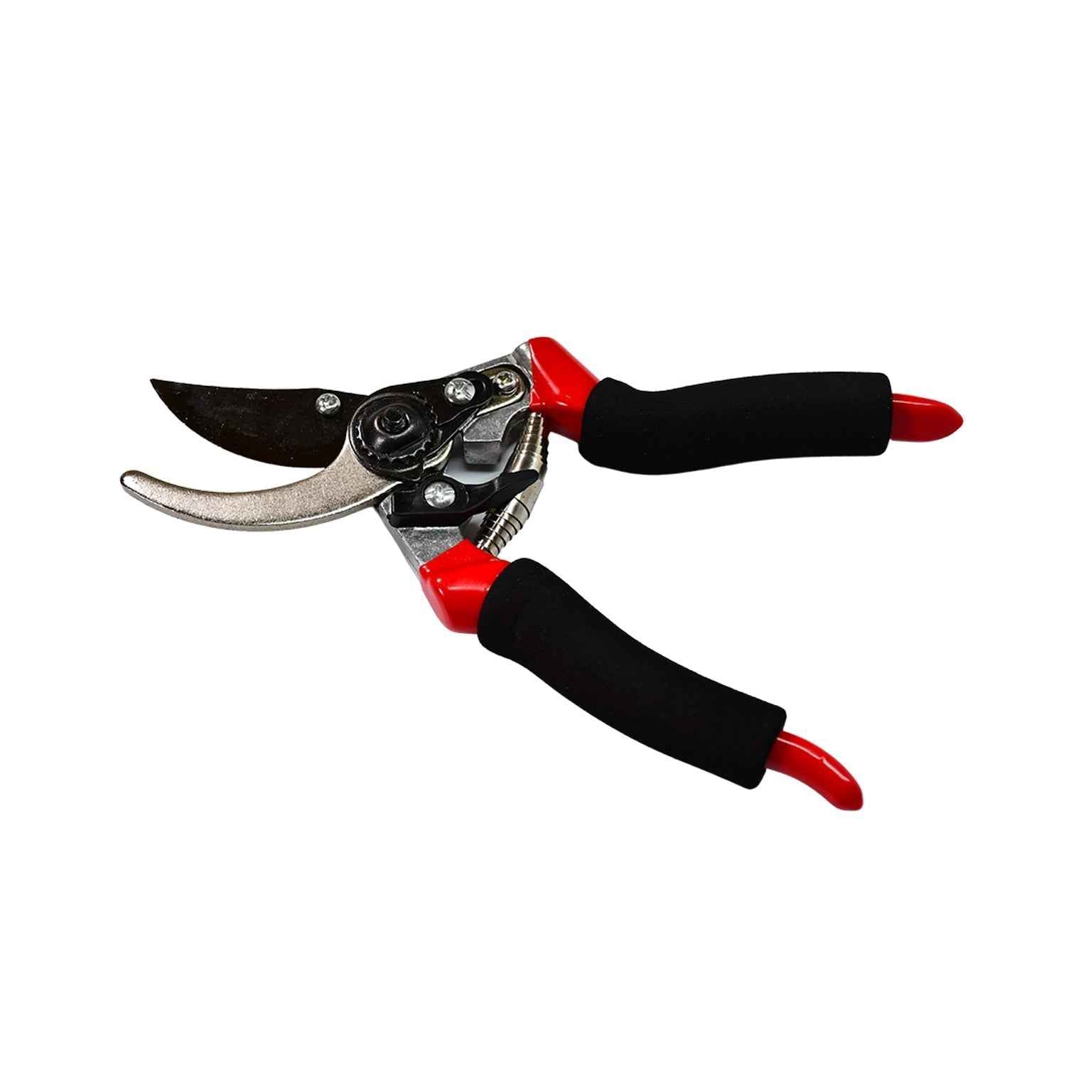 Garden Shears – Sharp Bypass Pruner for Plants | Tidy Roots