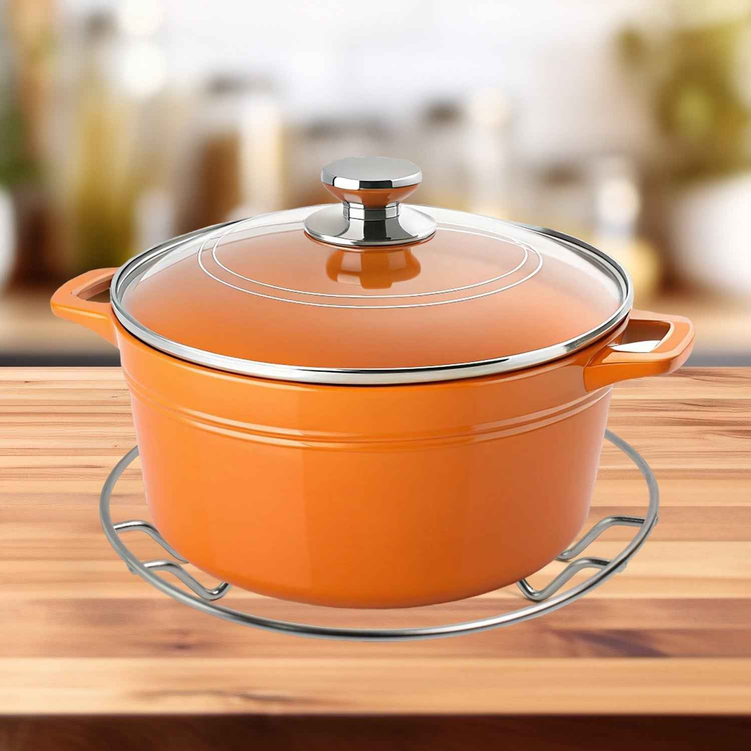 Stainless Steel Wire Trivet Set – Heat-Resistant 3-Pack