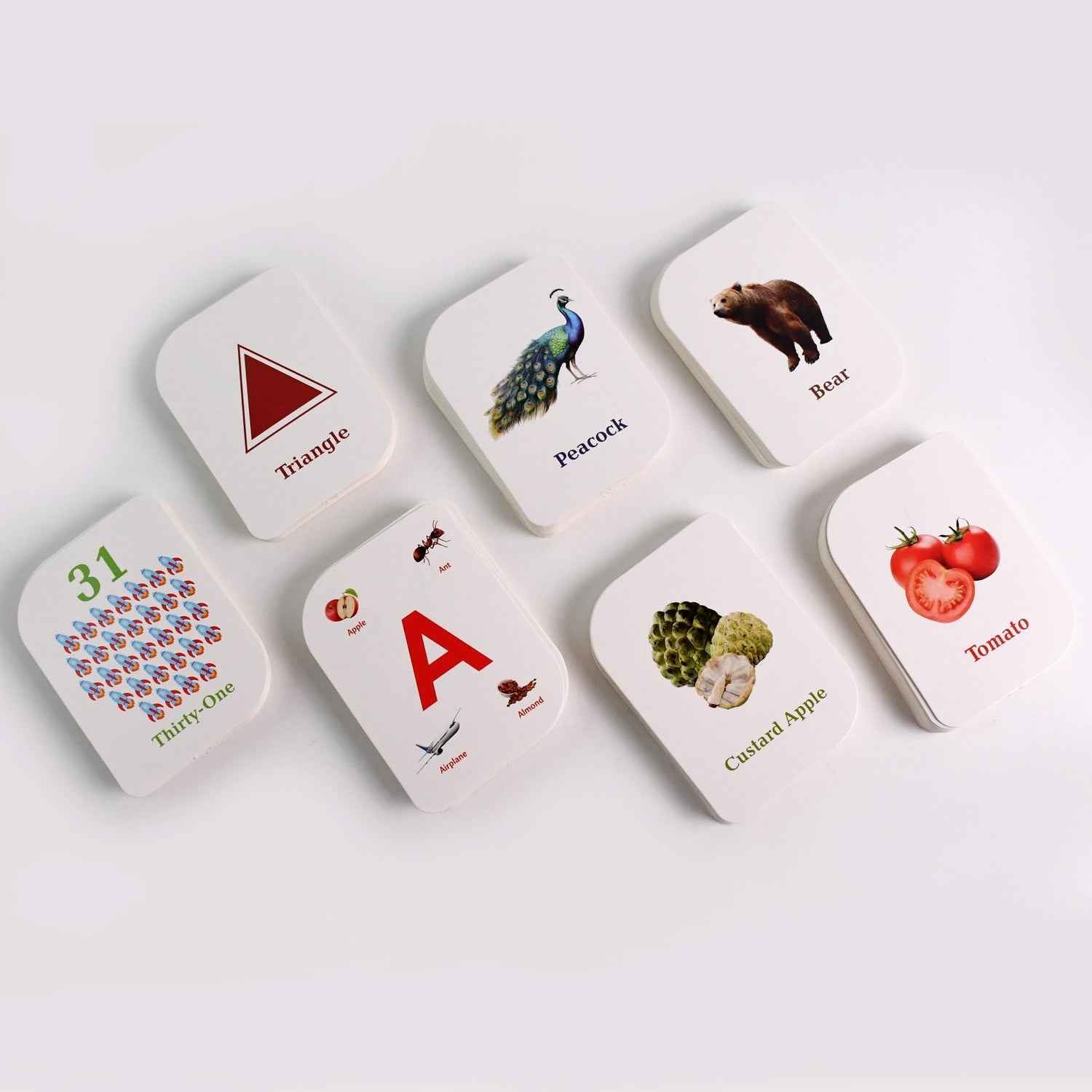 Early Learner Flashcard Set – 224 Durable Educational Cards