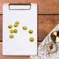 Fridge Magnets – Strong Round Push-Pin Style (10 Pc Set)