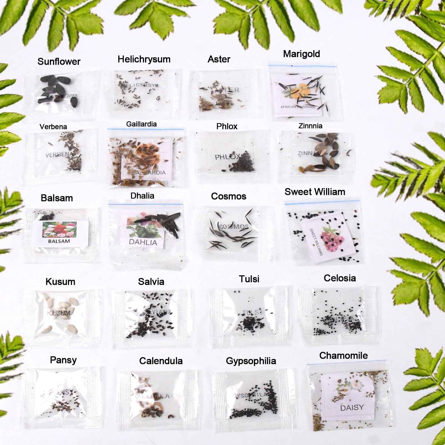 Flower Seeds Combo – 20 Varieties for Vibrant Gardens