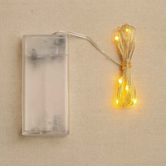 Copper wire string fairy lights with warm white 30 LED bulbs glowing beautifully.