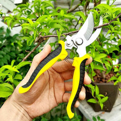 Heavy Duty Garden Pruning Shears Ð Sharp Stainless Steel Blades for Precise Cutting