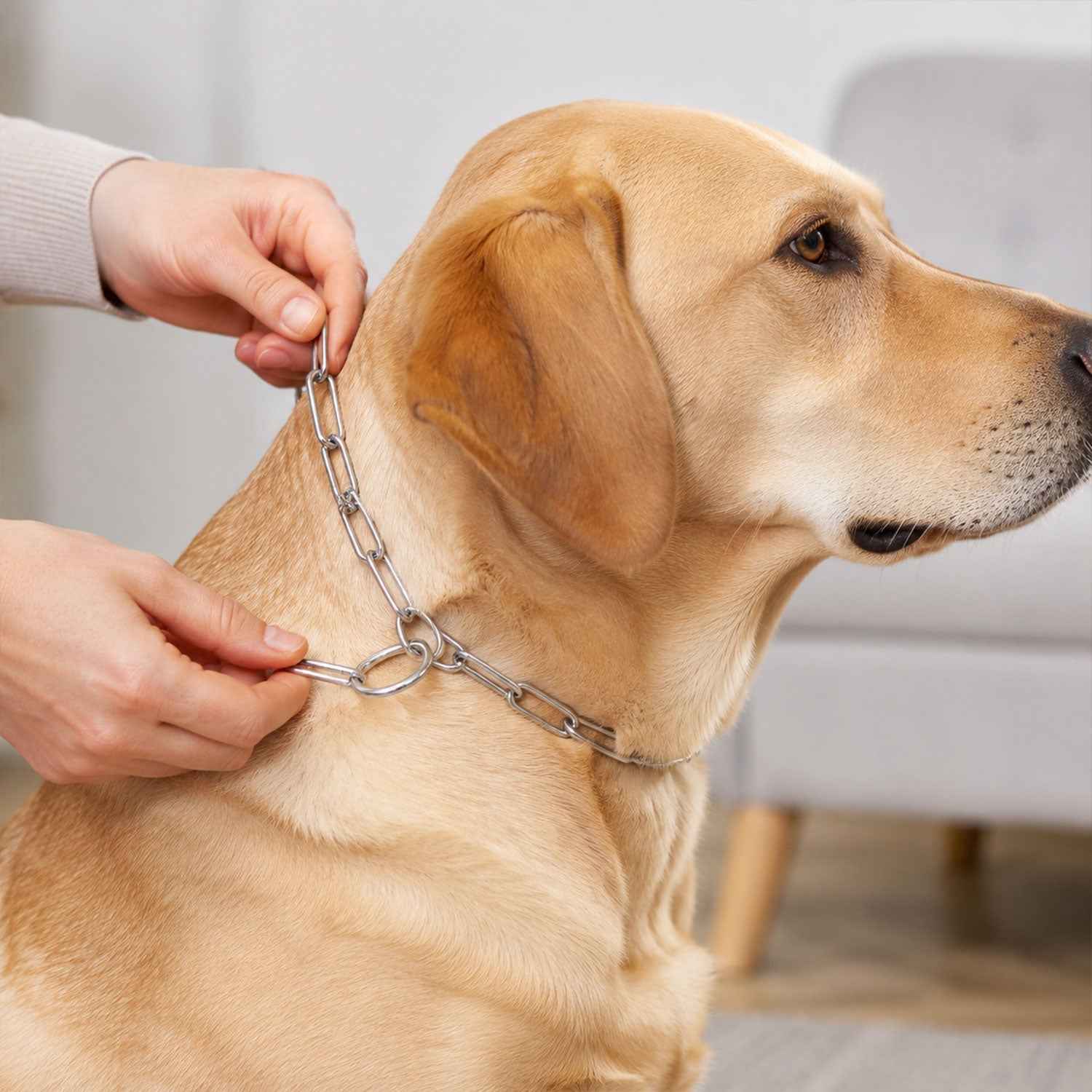 Heavy Duty Dog Chain Leash Ð Durable 67-inch Pet Tether for Control