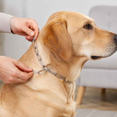 Heavy Duty Dog Chain Leash Ð Durable 67-inch Pet Tether for Control