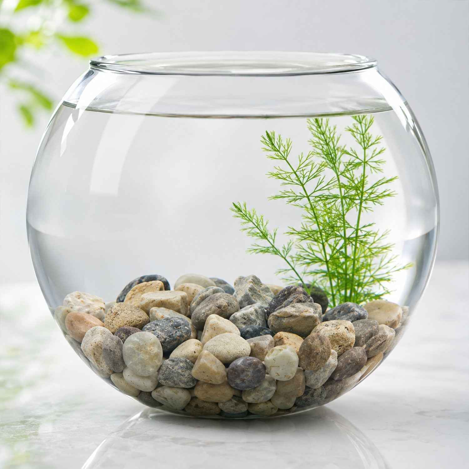 Decorative River Pebbles Ð Versatile Natural Stones for Indoor & Outdoor