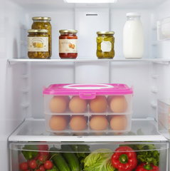 Egg Storage Box – Double Layer 24-Grid with Handle | Organivo