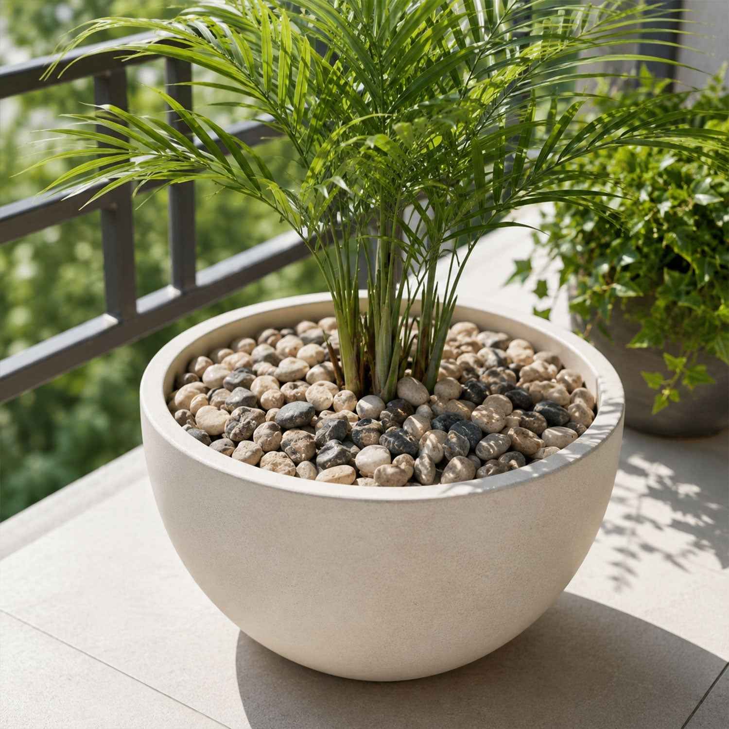 Decorative Natural Pebbles Ð Smooth River Stones for Home & Garden