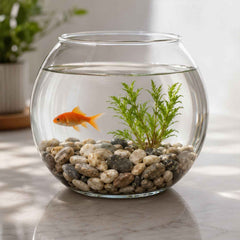 Decorative Natural Pebbles Ð Smooth River Stones for Home & Garden