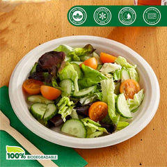 Compostable Bagasse Bowl 240ml – Eco-Friendly 10 Pc Set