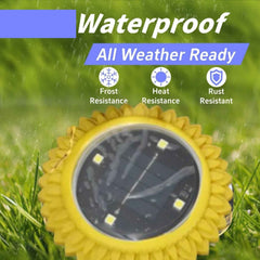 Solar Ground Lights Ð Waterproof LED Pathway Illumination