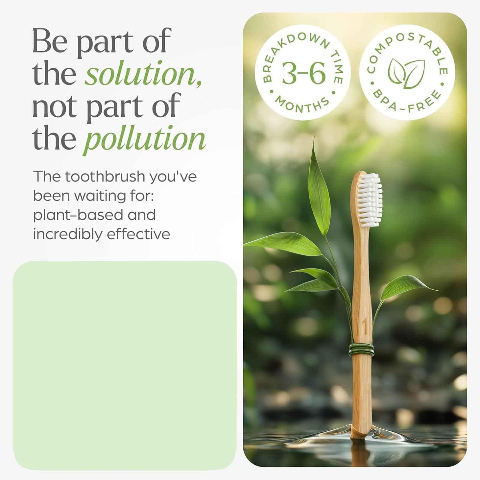 Bamboo Toothbrush Set – Eco-Friendly Medium Bristles (2 Pack)