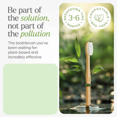 Bamboo Toothbrush Set – Eco-Friendly Medium Bristles (2 Pack)