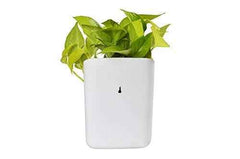 Hanging Planter Pot – Multicolour Vertical Garden | Gambit