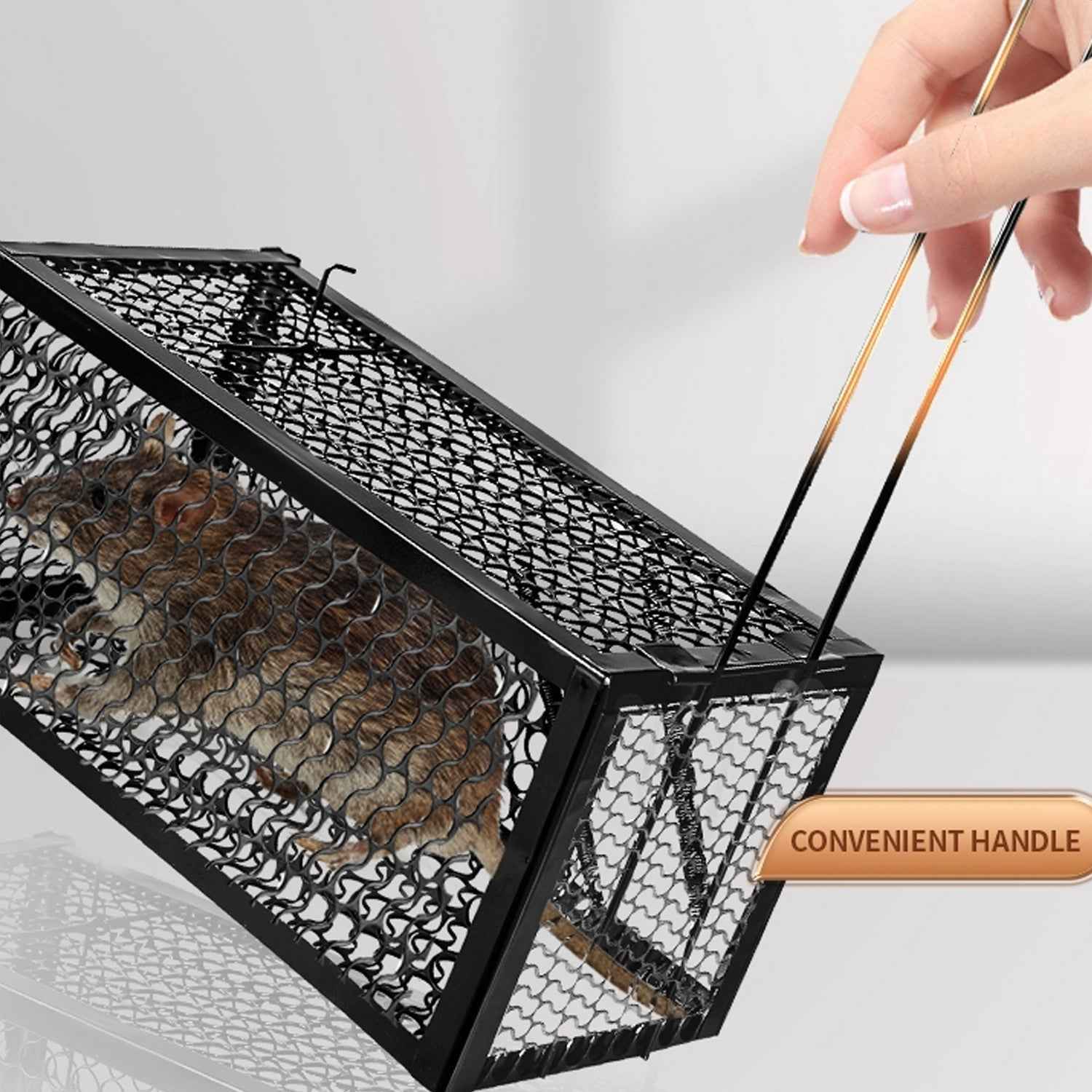 Humane Mouse Trap – Foldable Live Catch Cage for Rodents |