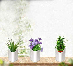 Hanging Planter Pot – Multicolour Vertical Garden | Gambit