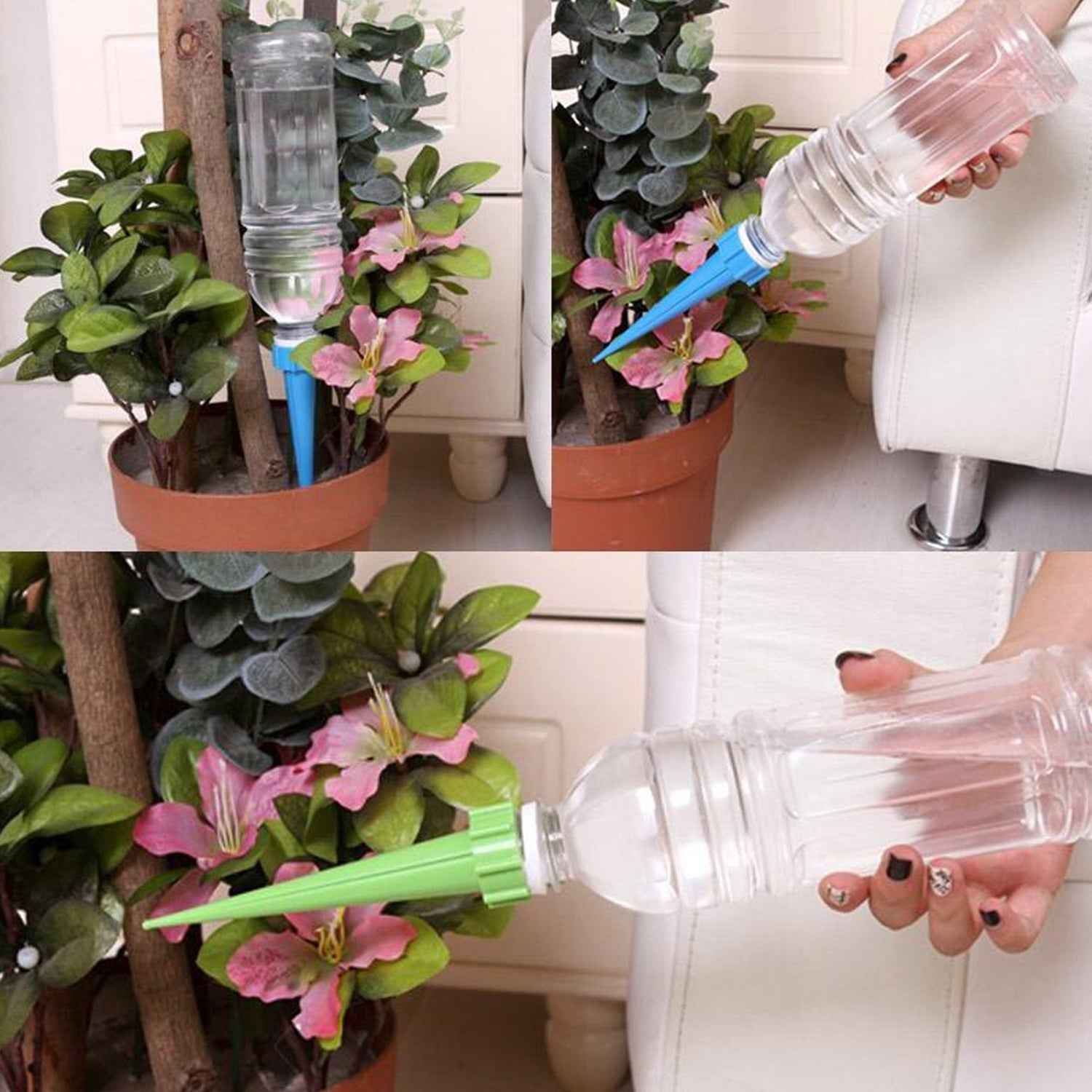 Self-Watering Plant Spikes – Adjustable Slow Release | Tidy Roots