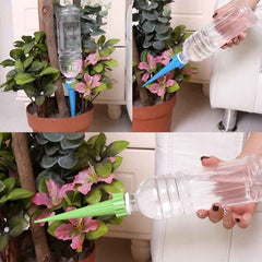 Self-Watering Plant Spikes – Adjustable Slow Release | Tidy Roots