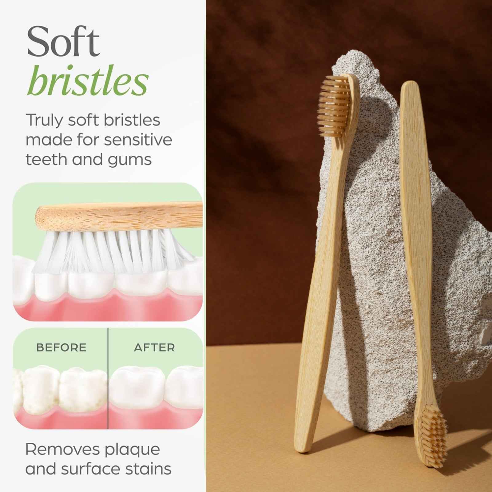 Bamboo Toothbrush Set – Eco-Friendly Medium Bristles (2 Pack)