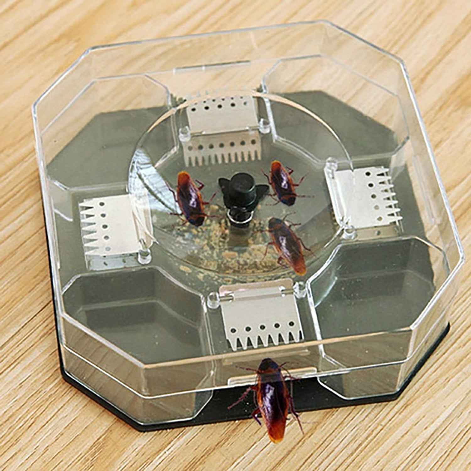 Cockroach Trap Box – Reusable Pest Killer for Home | Grow Vanta