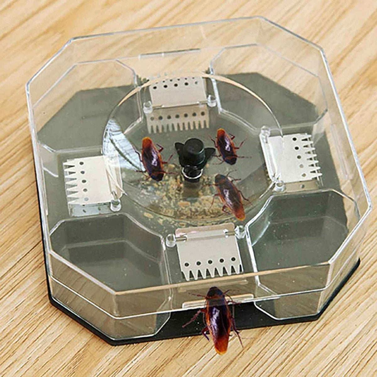 Cockroach Trap Box – Reusable Pest Killer for Home | Grow Vanta
