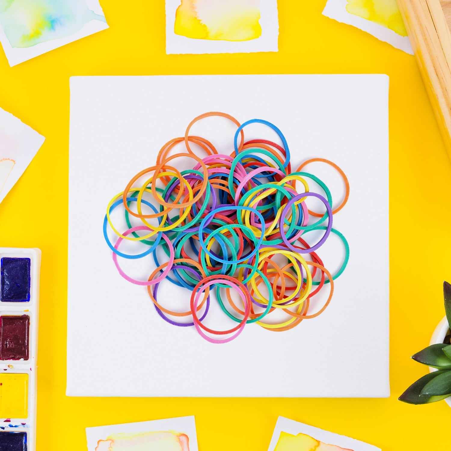 Rubber Bands – Unbreakable Nylon 2-Inch for Office & Home |