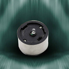 Solar LED Spike Light – Outdoor Garden Path Lighting | Garden Vera