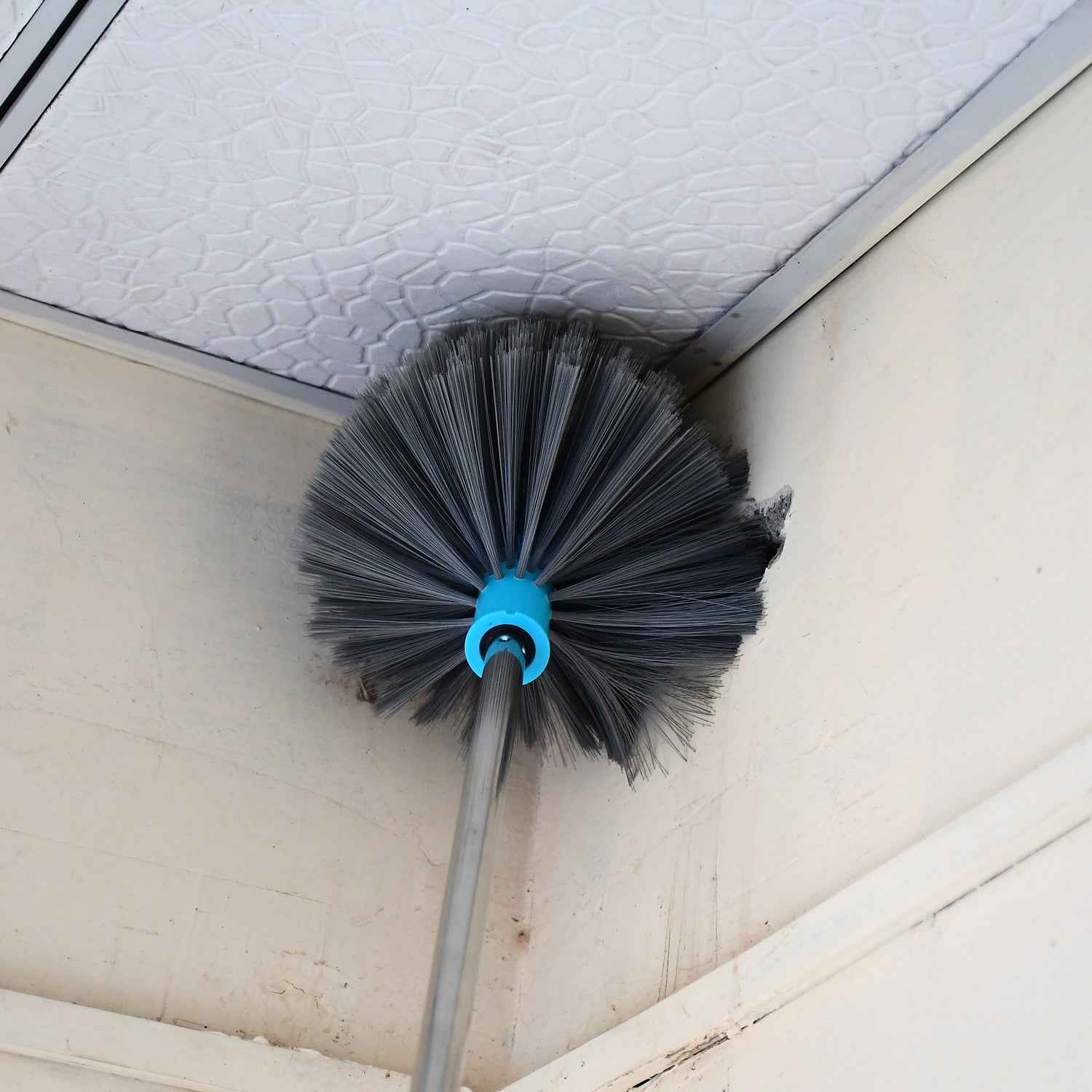 Cobweb Cleaning Brush – Extendable Steel Handle | Pro Clean