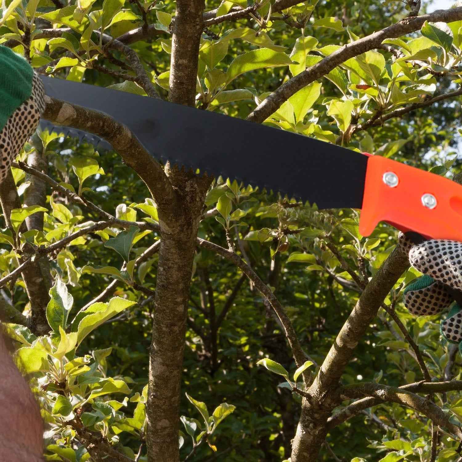 Hand Pruning Saw – Efficient Tree Branch Cutter | Grow Garden Tools