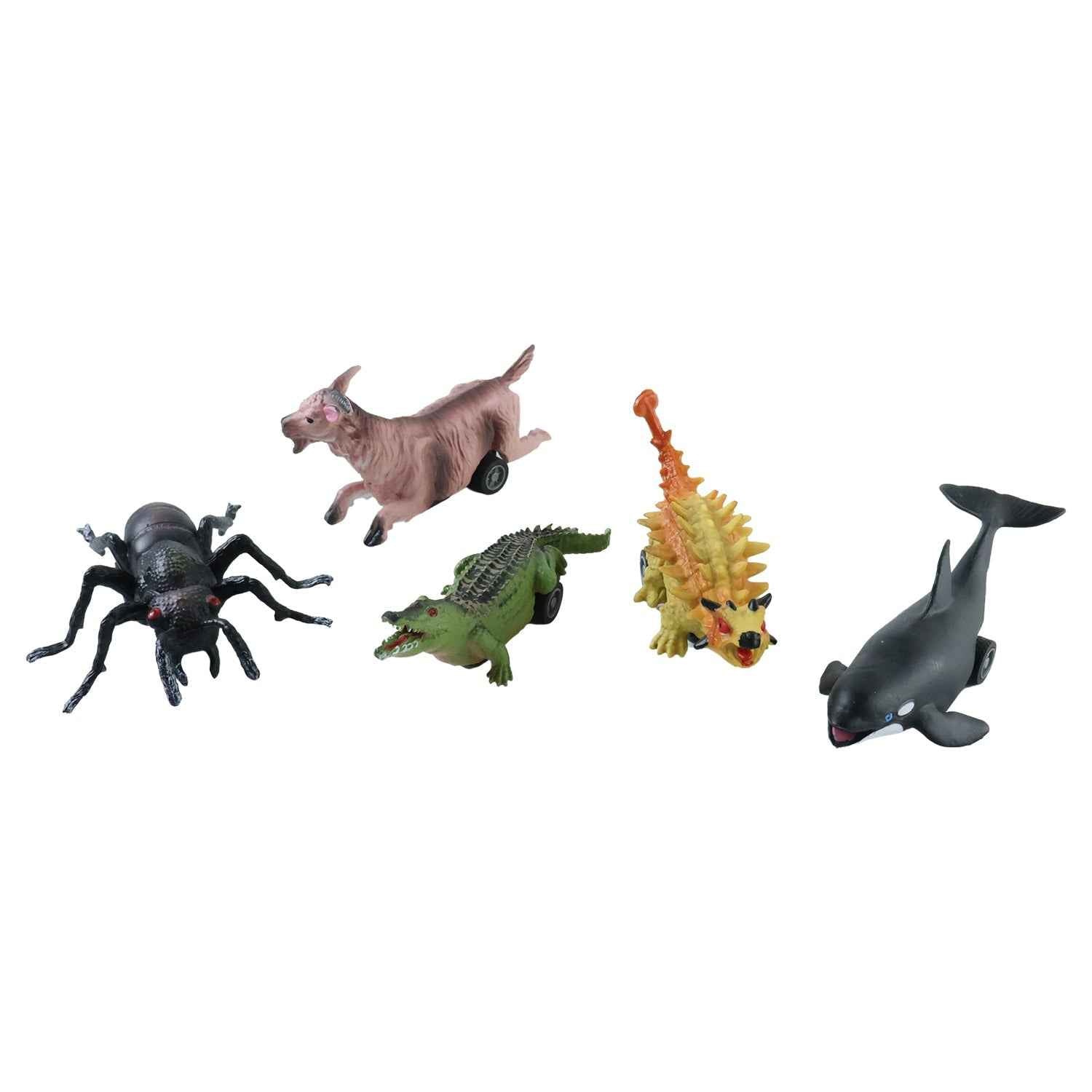 Kids Animal Pull Back Toy Ð Fun Rolling Motion & Imaginative Play